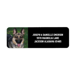 Adresetiketten van Shepherd Dog Etiket