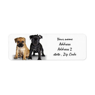 Adresetiketten van stieren puppies van Staffordshi Etiket