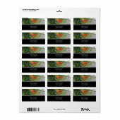 Adresetiketten voor vlinders etiket (Full Sheet)