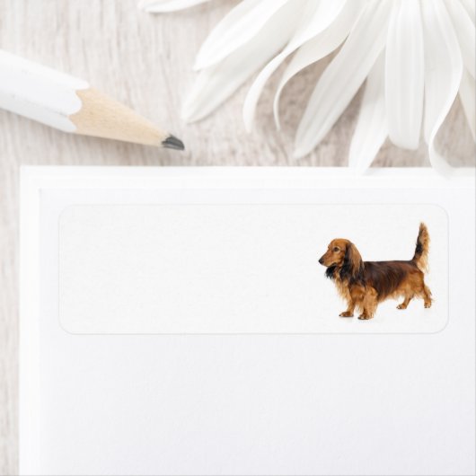 adreslabel van dashond etiket (Insitu)