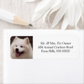 Adresse de chien blanc mignon Mailing Stickers Éti (En situation)