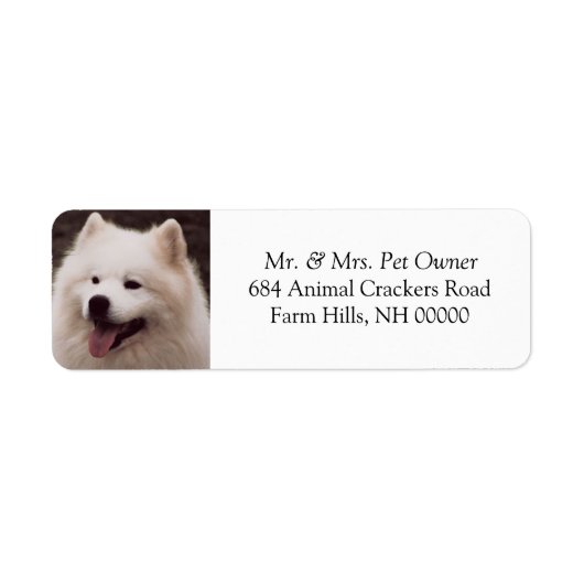 Adresse de chien blanc mignon Mailing Stickers Éti (Devant)