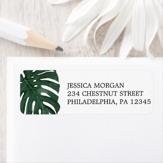 Adresse de retour Étiquette Monstère tropicale (En situation)