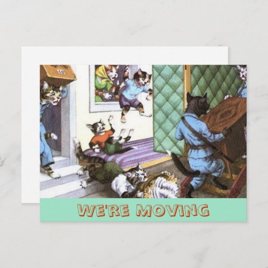  adreswijziging Briefkaart met katten (Voorkant / Achterkant)