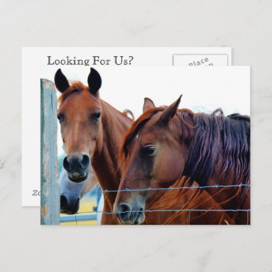 Adreswijziging Kaart (Voorkant / Achterkant)