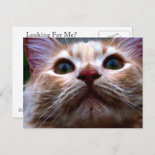 Adreswijziging Kaart (Voorkant / Achterkant)