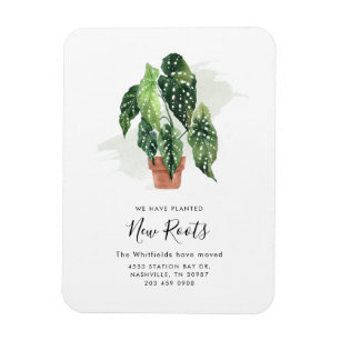 Adreswijziging update Verhuisaankondiging Magneet