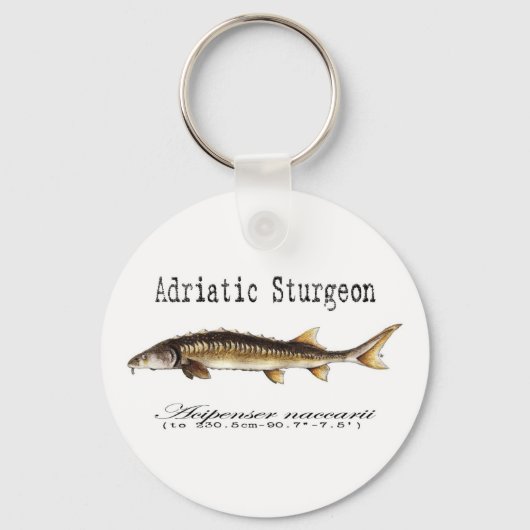 Adriatische Sturgeon Item Sleutelhanger (Voorkant)