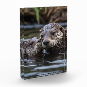 **"Adrift in Love: Mummy en Baby Otter"** Fotoblokken