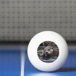 **"Adrift in Love: Mummy en Baby Otter"** Pingpongballen