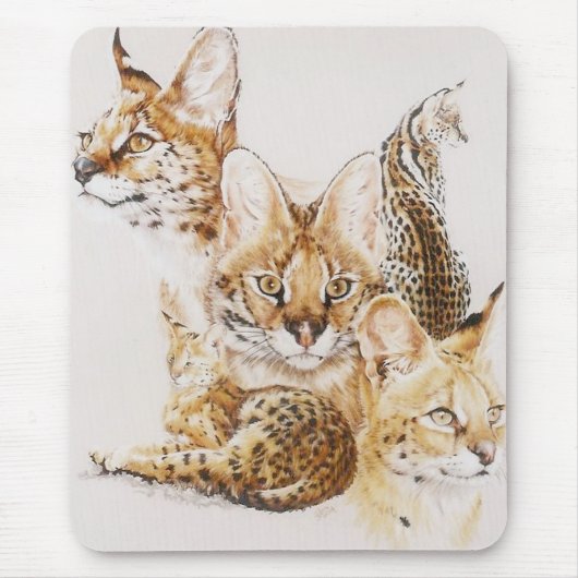 Adroit Muismat (Voorkant)