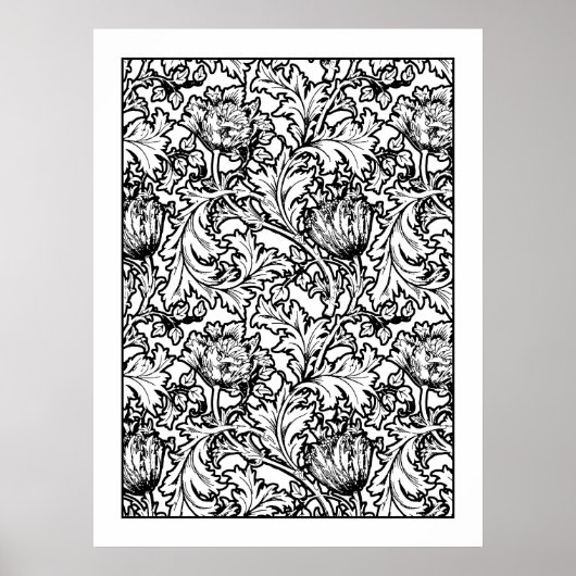 Adult Coloring Poster William Morris Anemone (Voorkant)