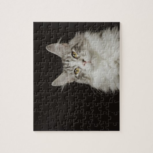 Adult Maine Coon Cat Legpuzzel (Verticaal)