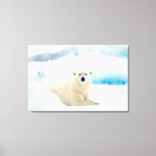 Adult polar bear large boar on the summer ice canvas afdruk