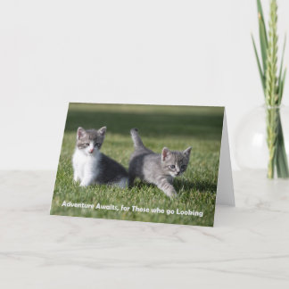 Adventure attend la carte de billet chaton