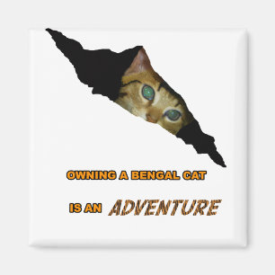 Adventure Magnet Magneet