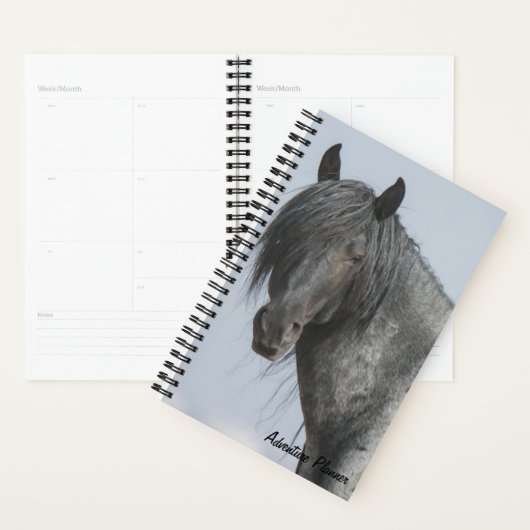 Adventure Planner avec Blue Zeus (Devant avec enveloppe)