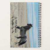 Adventure Planner avec Blue Zeus (Dos)