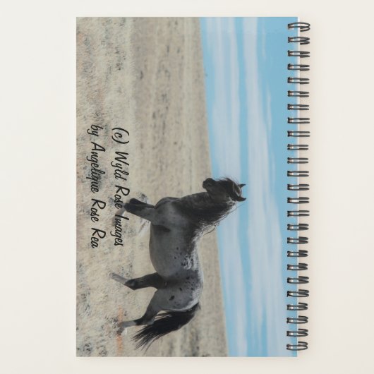 Adventure Planner avec Blue Zeus (Dos)