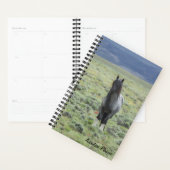 Adventure Planner avec Blue Zeus (Devant avec enveloppe)
