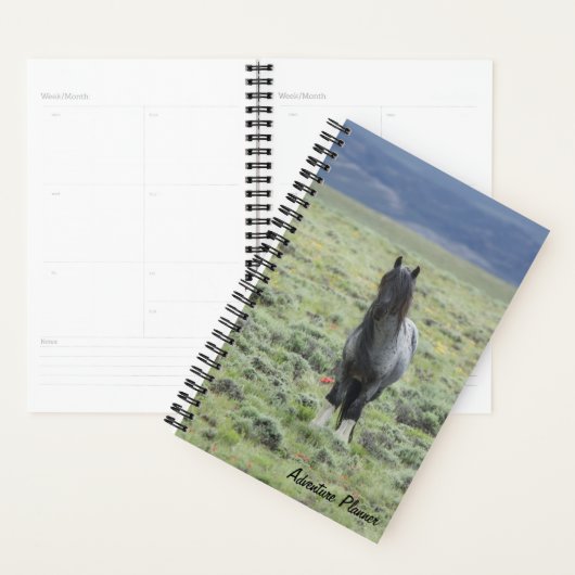 Adventure Planner avec Blue Zeus (Devant avec enveloppe)