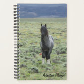 Adventure Planner avec Blue Zeus (Devant)