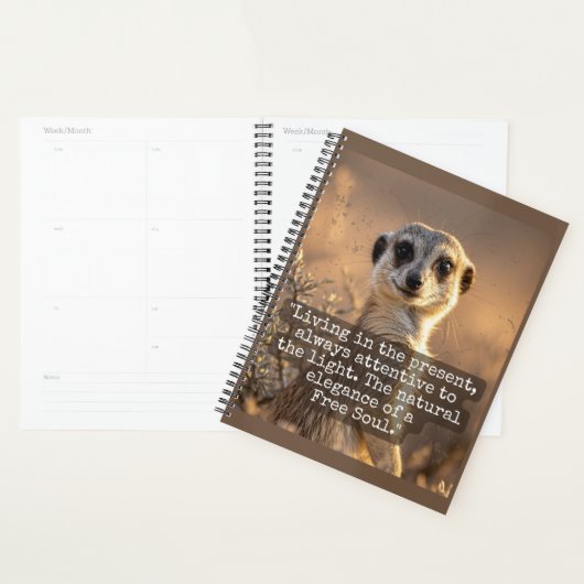 Adventurous Meerkat Living (Devant avec enveloppe)