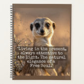 Adventurous Meerkat Living (Devant)