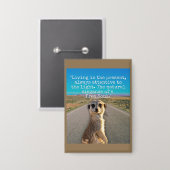 Adventurous Meerkat Living Button (Voorkant / Achterkant)