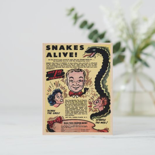 advertentie voor bestellingen van komische post briefkaart (Staand voorkant)