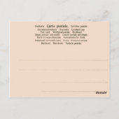 Adverteren, Casa de Fritos Briefkaart (Achterkant)