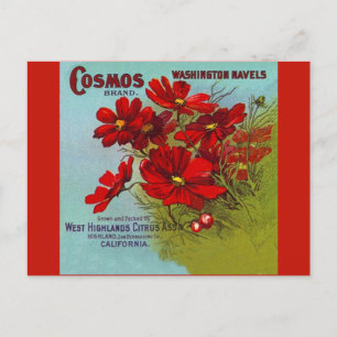 Adverteren Cosmos Washington fruitlabel Feestdagenkaart