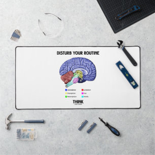 Advice Disturb Your Routine Think Brain Anatomy