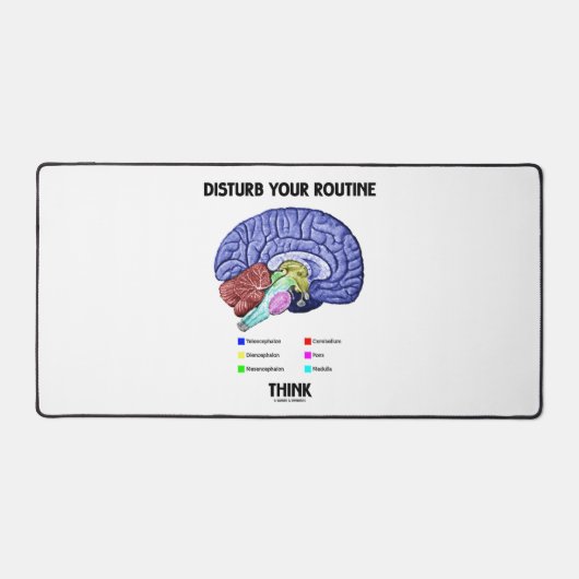 Advice Disturb Your Routine Think Brain Anatomy (Recto)