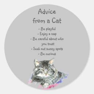 Advies van een Cat Fun Animal Humor Ronde Sticker