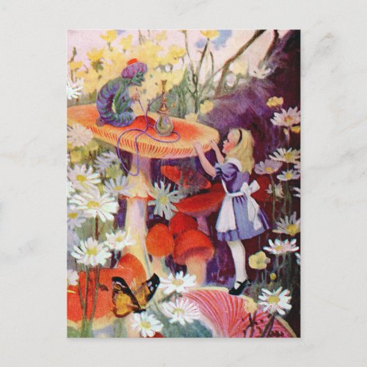 ADVIES VAN EEN CATERPILLAAT BRIEFKAART (Voorkant)