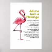 Advies van een Flamingo Poster (Voorkant)