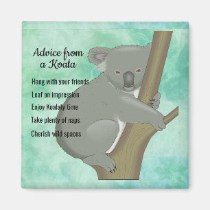 Advies van een Koala Design Magnet Magneet