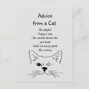 Advies van Winking Cat Fun Animal Humor Briefkaart