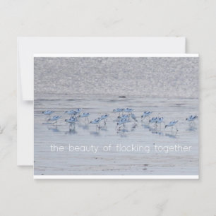 Advocate Beauty Briefkaart