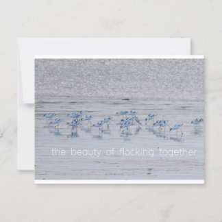 Advocate Beauty Briefkaart