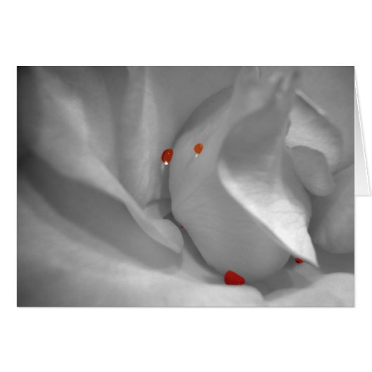 Aeolian Waterverf Card (Voorkant Horizontaal)