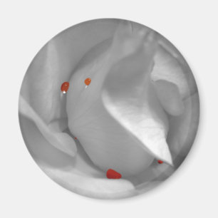 Aeolian Waterverf Magnet Magneet