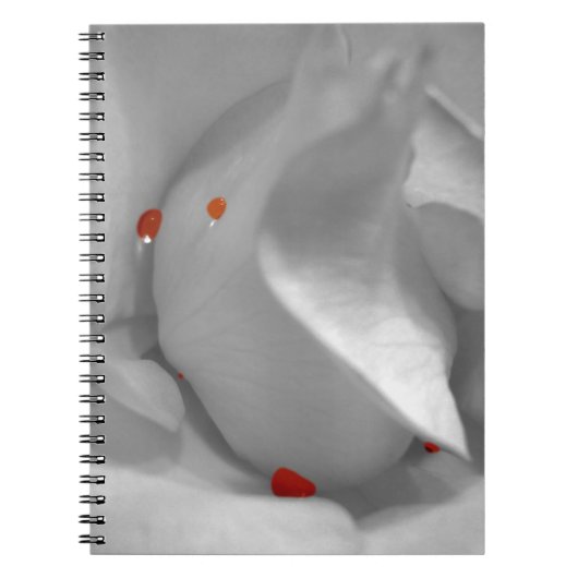 Aeolian Waterverf Notitieboek (Voorkant)