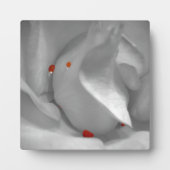 Aeolian Waterverf Plaque Fotoplaat (Voorkant)