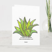 Aeonium 'Sunburst'-kaart Kaart (Achterkant)