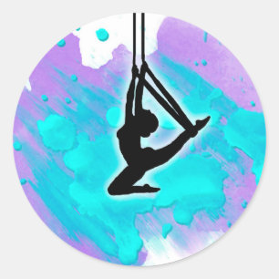 Aerial Silk Girl on Funky Waterverf Sticker