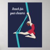 Aerial Silks Poster (Voorkant)
