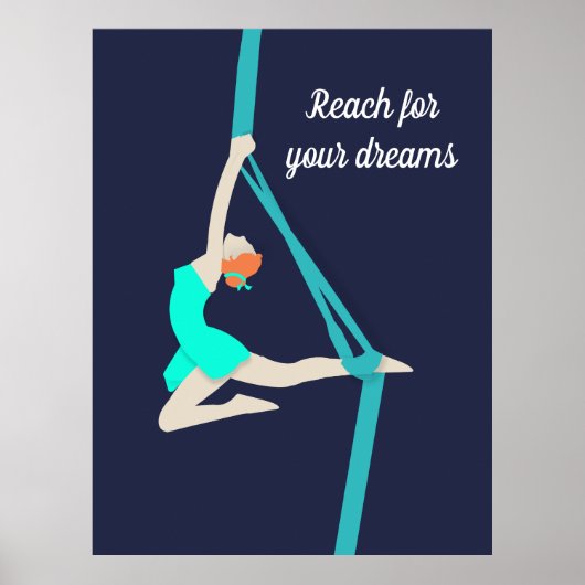 Aerial Silks Poster (Voorkant)