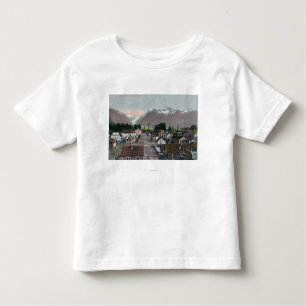 Aerial Summer Uitzicht of the CityValdez, AK Kinder Shirts